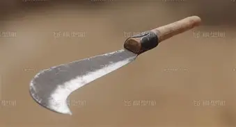 欧文主场落户苏州常州细节曝光的简单介绍|MK体育app下载